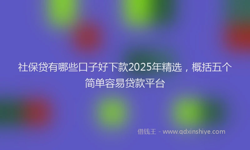 社保贷有哪些口子好下款2025年精选，概括五个简单容易贷款平台