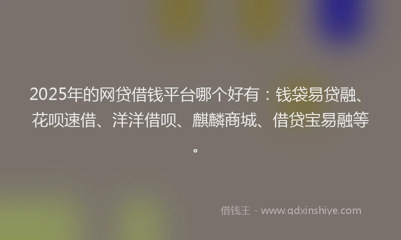 2025年的网贷借钱平台哪个好有：钱袋易贷融、花呗速借、洋洋借呗、麒麟商城、借贷宝易融等。
