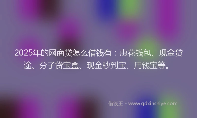 2025年的网商贷怎么借钱有：惠花钱包、现金贷途、分子贷宝盒、现金秒到宝、用钱宝等。