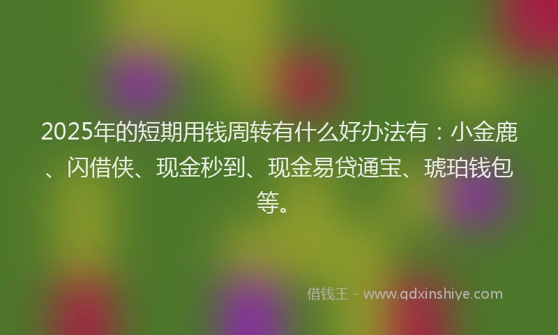 2025年的短期用钱周转有什么好办法有：小金鹿、闪借侠、现金秒到、现金易贷通宝、琥珀钱包等。