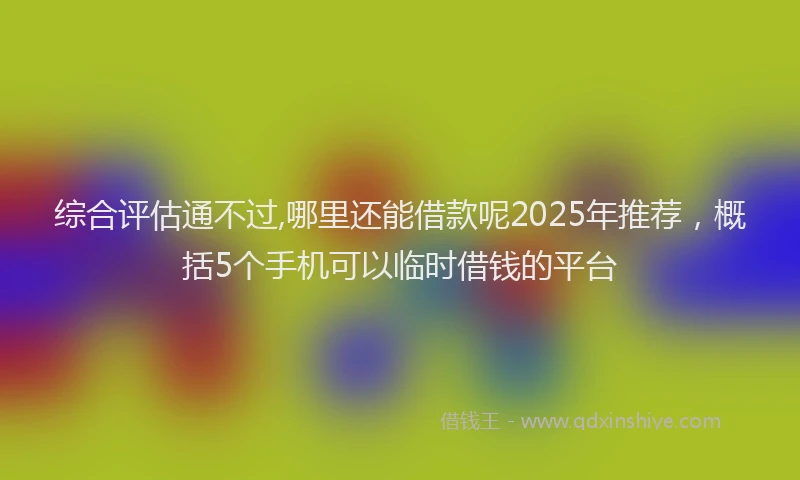 综合评估通不过,哪里还能借款呢2025年推荐，概括5个手机可以临时借钱的平台