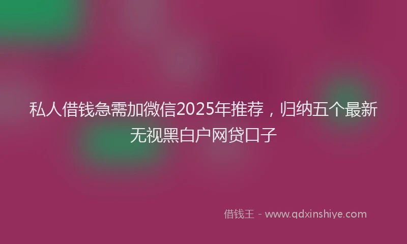私人借钱急需加微信2025年推荐，归纳五个最新无视黑白户网贷口子