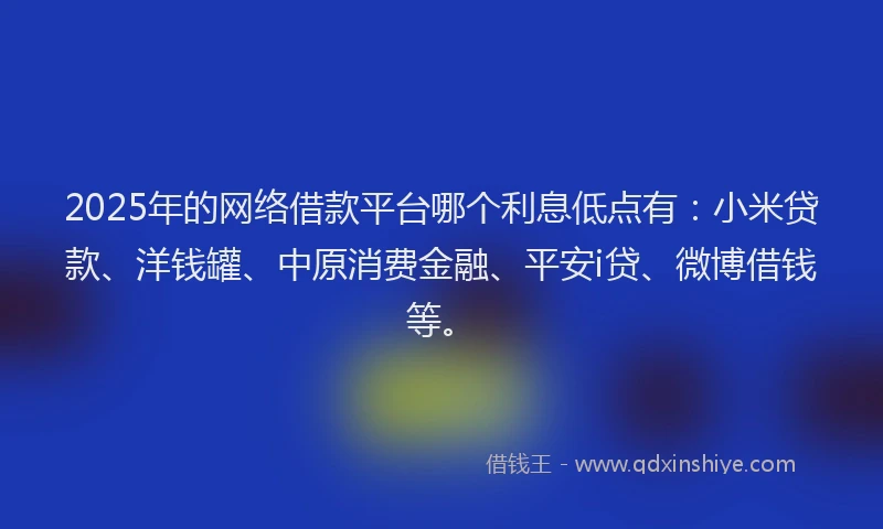 2025年的网络借款平台哪个利息低点有：小米贷款、洋钱罐、中原消费金融、平安i贷、微博借钱等。