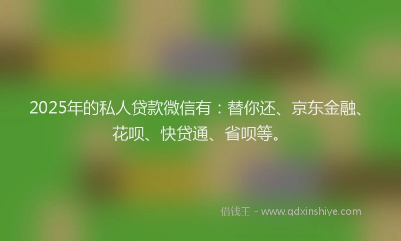 2025年的私人贷款微信有：替你还、京东金融、花呗、快贷通、省呗等。