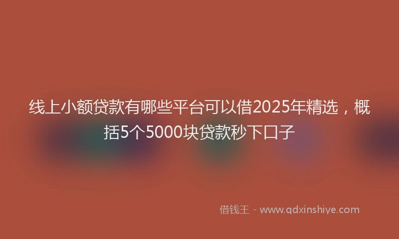 线上小额贷款有哪些平台可以借2025年精选，概括5个5000块贷款秒下口子