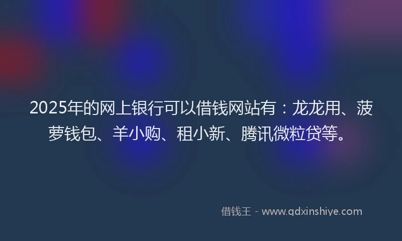2025年的网上银行可以借钱网站有：龙龙用、菠萝钱包、羊小购、租小新、腾讯微粒贷等。
