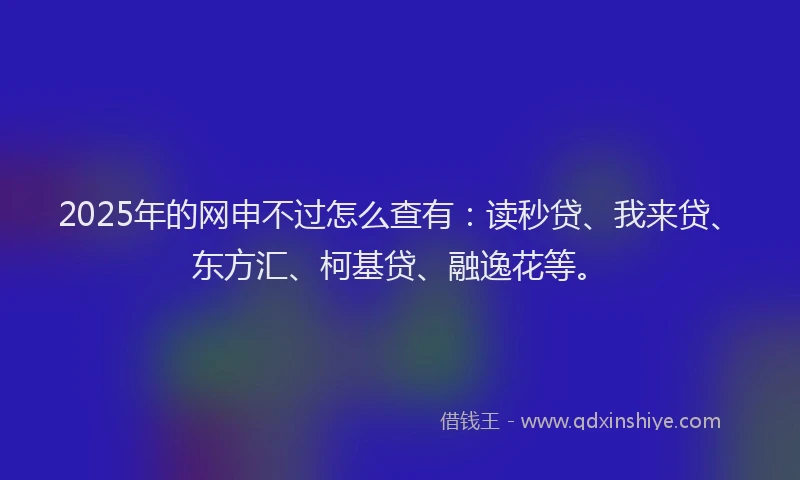 2025年的网申不过怎么查有：读秒贷、我来贷、东方汇、柯基贷、融逸花等。