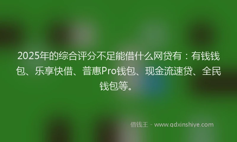 2025年的综合评分不足能借什么网贷有：有钱钱包、乐享快借、普惠Pro钱包、现金流速贷、全民钱包等。