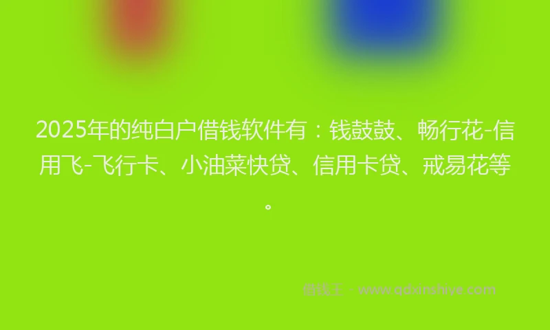 2025年的纯白户借钱软件有：钱鼓鼓、畅行花-信用飞-飞行卡、小油菜快贷、信用卡贷、戒易花等。