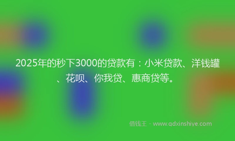 2025年的秒下3000的贷款有：小米贷款、洋钱罐、花呗、你我贷、惠商贷等。