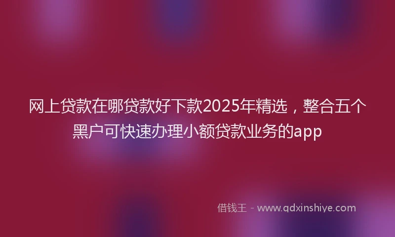 网上贷款在哪贷款好下款2025年精选，整合五个黑户可快速办理小额贷款业务的app