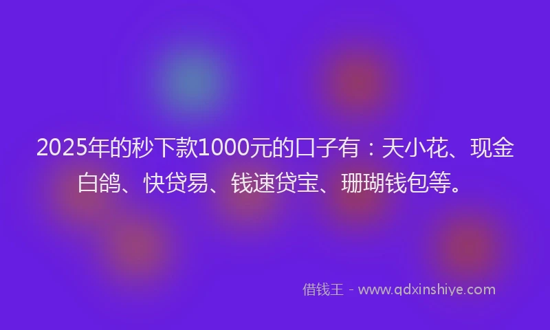 2025年的秒下款1000元的口子有：天小花、现金白鸽、快贷易、钱速贷宝、珊瑚钱包等。