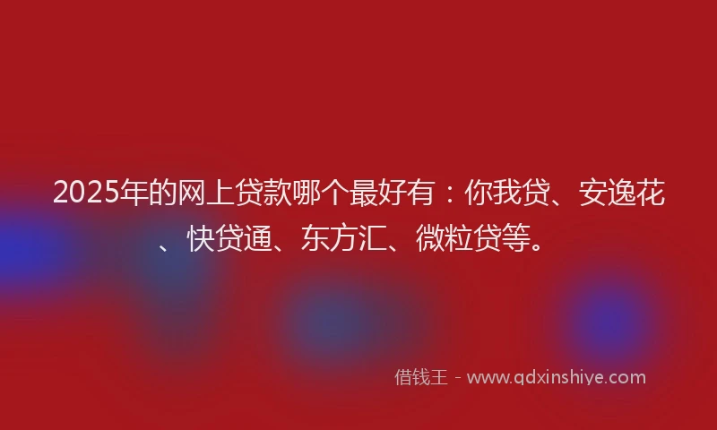 2025年的网上贷款哪个最好有：你我贷、安逸花、快贷通、东方汇、微粒贷等。