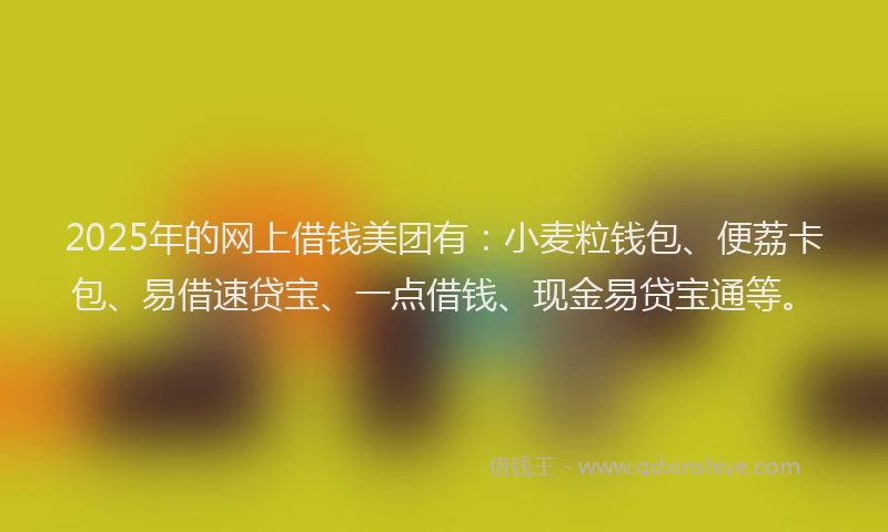 2025年的网上借钱美团有：小麦粒钱包、便荔卡包、易借速贷宝、一点借钱、现金易贷宝通等。
