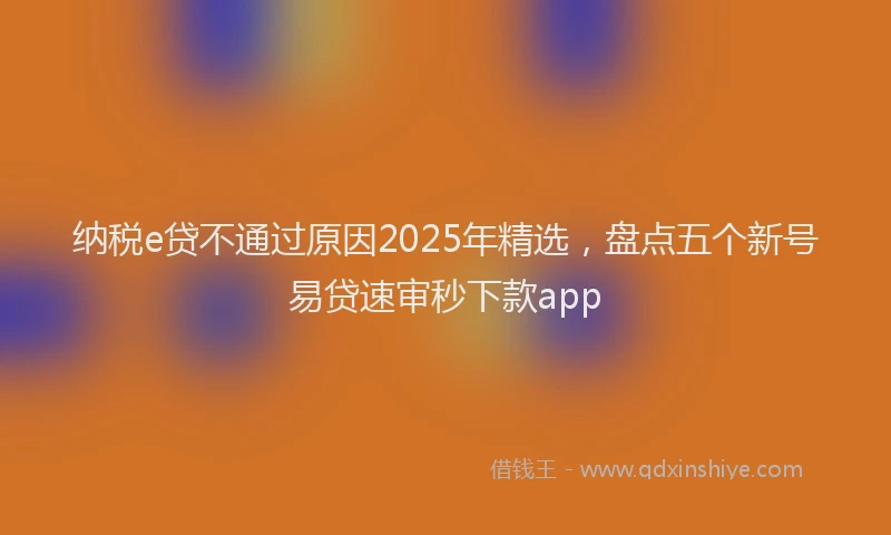 纳税e贷不通过原因2025年精选，盘点五个新号易贷速审秒下款app