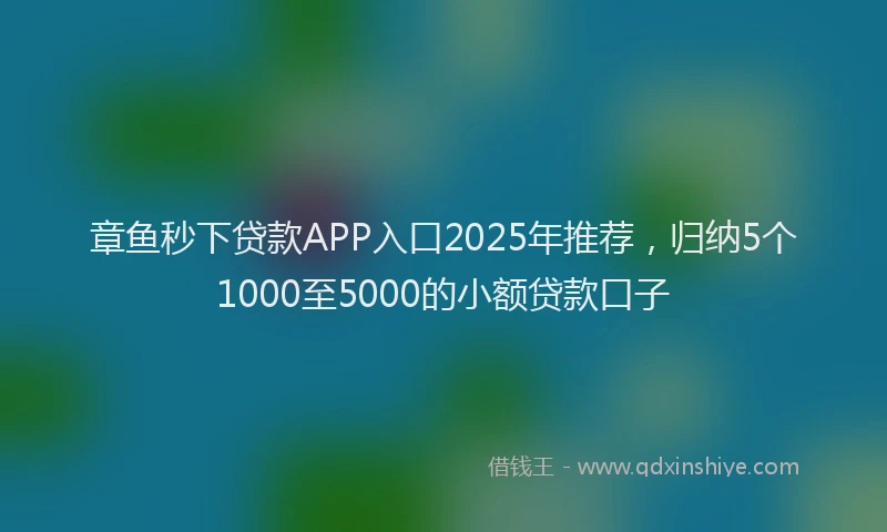 章鱼秒下贷款APP入口2025年推荐，归纳5个1000至5000的小额贷款口子