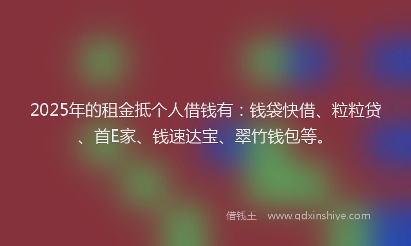 2025年的租金抵个人借钱有：钱袋快借、粒粒贷、首E家、钱速达宝、翠竹钱包等。