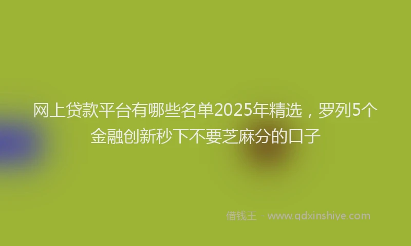 网上贷款平台有哪些名单2025年精选，罗列5个金融创新秒下不要芝麻分的口子