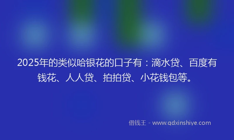 2025年的类似哈银花的口子有：滴水贷、百度有钱花、人人贷、拍拍贷、小花钱包等。