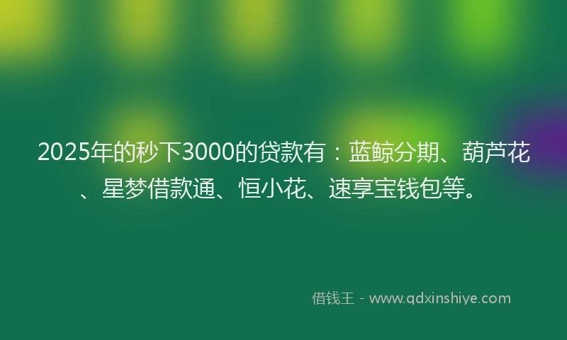 2025年的秒下3000的贷款有：蓝鲸分期、葫芦花、星梦借款通、恒小花、速享宝钱包等。