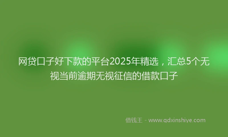 网贷口子好下款的平台2025年精选，汇总5个无视当前逾期无视征信的借款口子