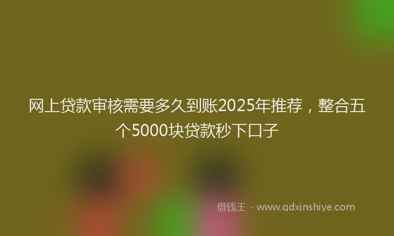 网上贷款审核需要多久到账2025年推荐，整合五个5000块贷款秒下口子