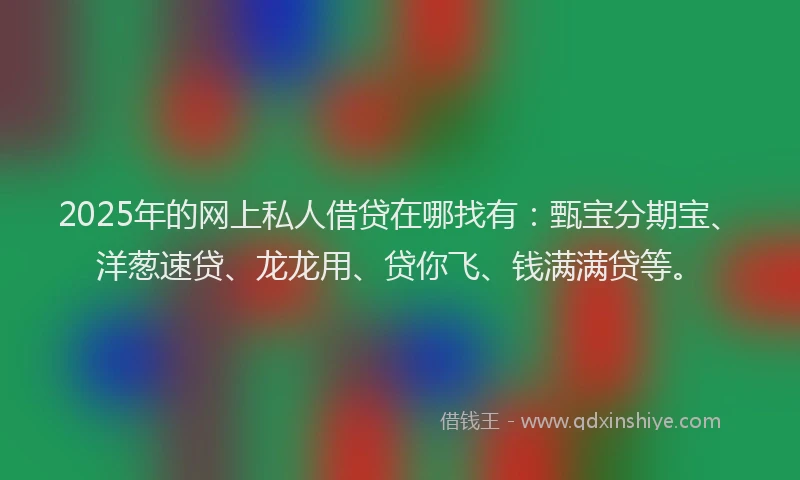 2025年的网上私人借贷在哪找有：甄宝分期宝、洋葱速贷、龙龙用、贷你飞、钱满满贷等。