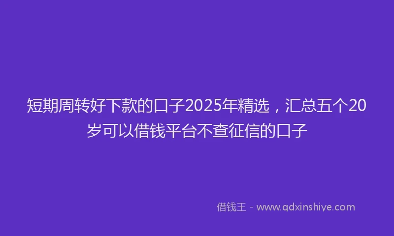 短期周转好下款的口子2025年精选，汇总五个20岁可以借钱平台不查征信的口子