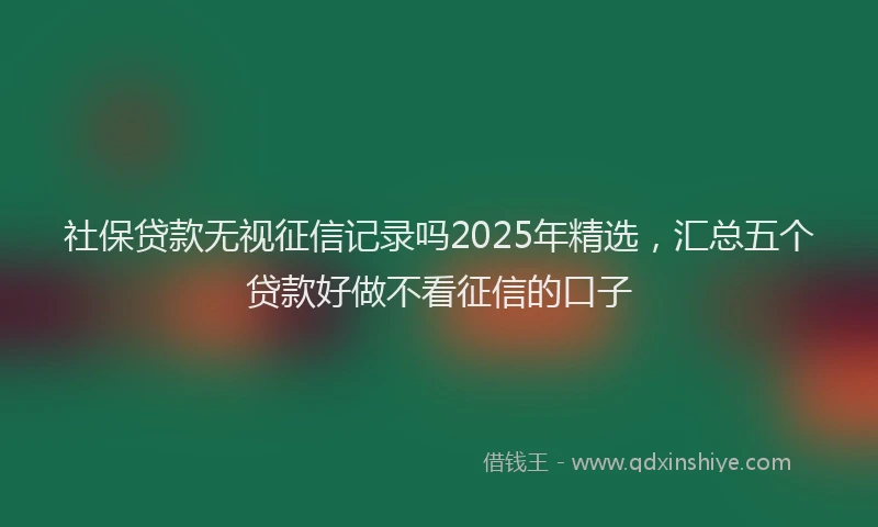 社保贷款无视征信记录吗2025年精选，汇总五个贷款好做不看征信的口子