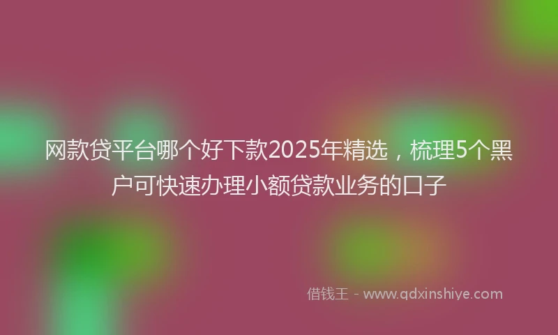 网款贷平台哪个好下款2025年精选，梳理5个黑户可快速办理小额贷款业务的口子