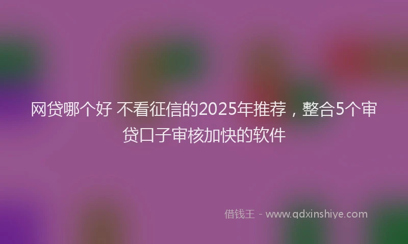 网贷哪个好 不看征信的2025年推荐，整合5个审贷口子审核加快的软件