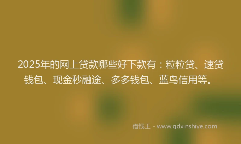 2025年的网上贷款哪些好下款有：粒粒贷、速贷钱包、现金秒融途、多多钱包、蓝鸟信用等。