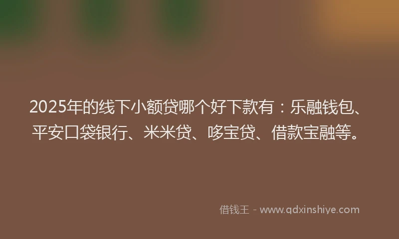 2025年的线下小额贷哪个好下款有：乐融钱包、平安口袋银行、米米贷、哆宝贷、借款宝融等。