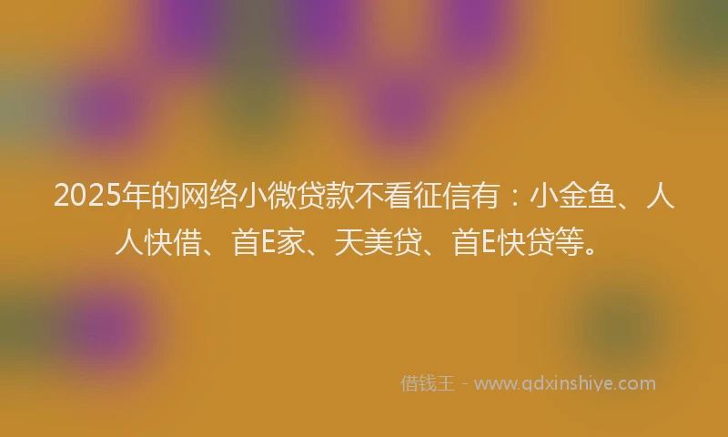 2025年的网络小微贷款不看征信有：小金鱼、人人快借、首E家、天美贷、首E快贷等。