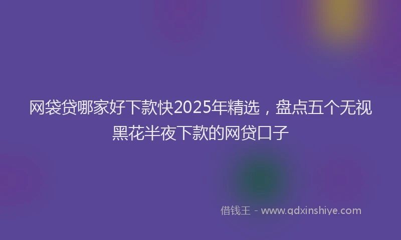 网袋贷哪家好下款快2025年精选，盘点五个无视黑花半夜下款的网贷口子