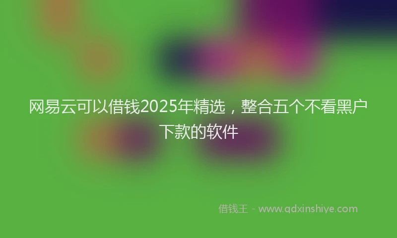 网易云可以借钱2025年精选，整合五个不看黑户下款的软件
