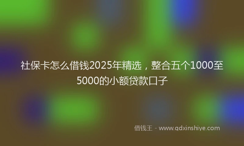 社保卡怎么借钱2025年精选，整合五个1000至5000的小额贷款口子