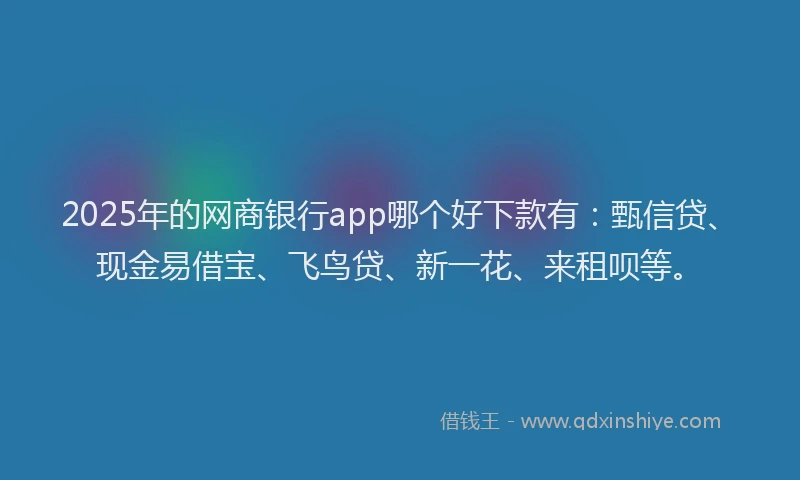 2025年的网商银行app哪个好下款有：甄信贷、现金易借宝、飞鸟贷、新一花、来租呗等。
