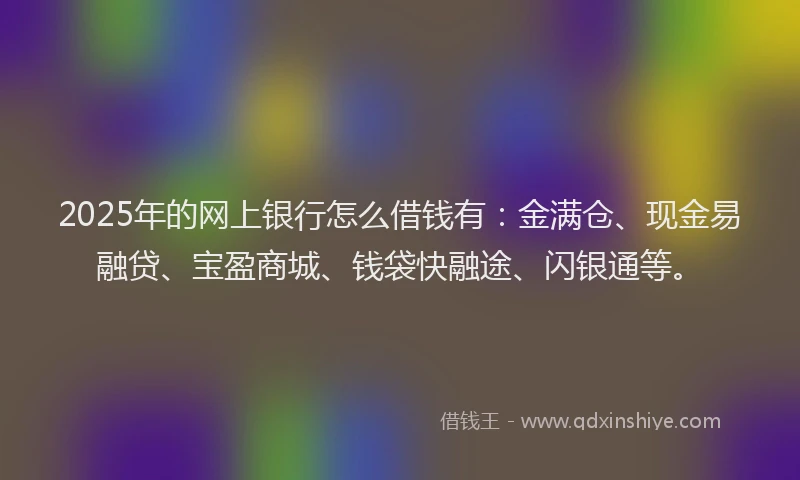 2025年的网上银行怎么借钱有：金满仓、现金易融贷、宝盈商城、钱袋快融途、闪银通等。