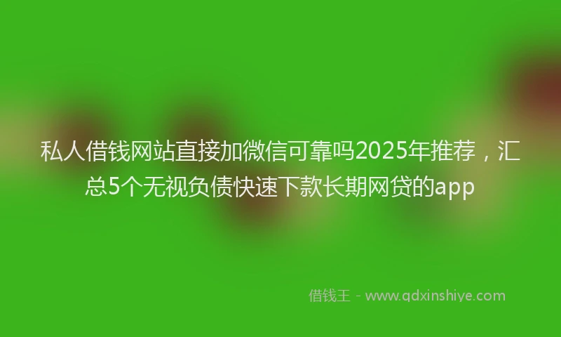 私人借钱网站直接加微信可靠吗2025年推荐，汇总5个无视负债快速下款长期网贷的app
