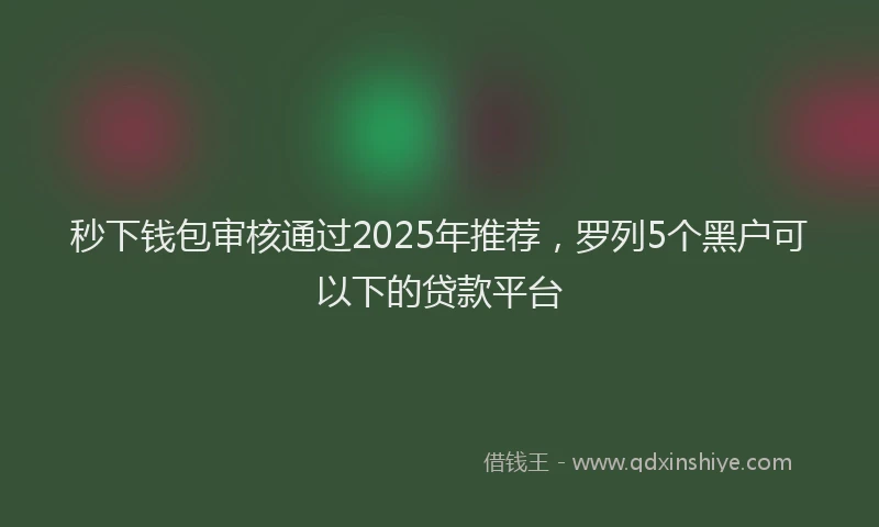 秒下钱包审核通过2025年推荐，罗列5个黑户可以下的贷款平台