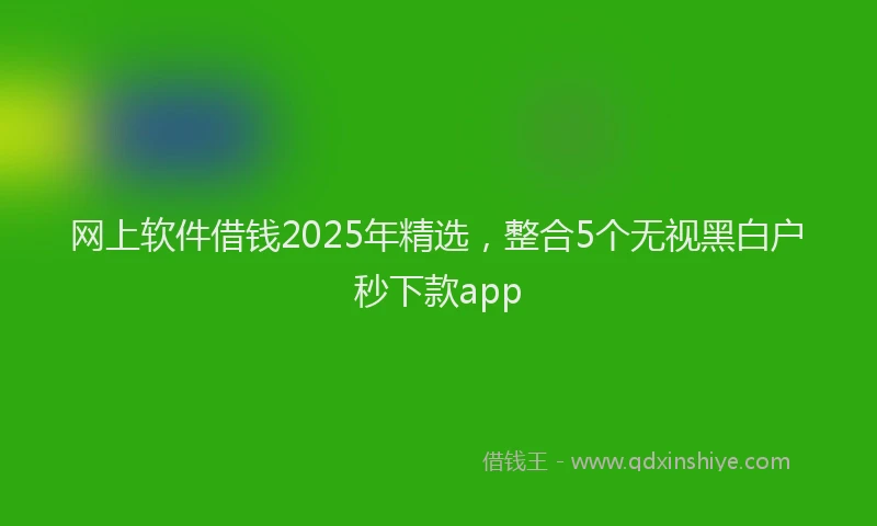 网上软件借钱2025年精选，整合5个无视黑白户秒下款app