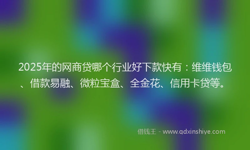 2025年的网商贷哪个行业好下款快有：维维钱包、借款易融、微粒宝盒、全金花、信用卡贷等。