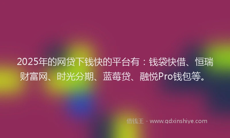 2025年的网贷下钱快的平台有：钱袋快借、恒瑞财富网、时光分期、蓝莓贷、融悦Pro钱包等。