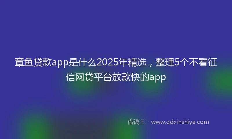 章鱼贷款app是什么2025年精选，整理5个不看征信网贷平台放款快的app