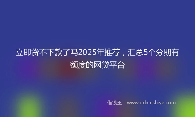 立即贷不下款了吗2025年推荐，汇总5个分期有额度的网贷平台