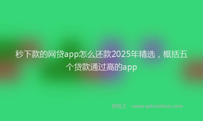 秒下款的网贷app怎么还款2025年精选，概括五个贷款通过高的app