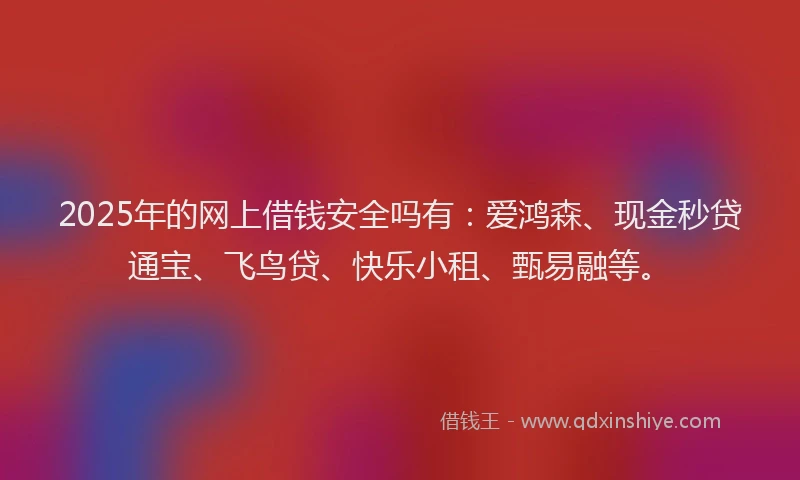 2025年的网上借钱安全吗有：爱鸿森、现金秒贷通宝、飞鸟贷、快乐小租、甄易融等。
