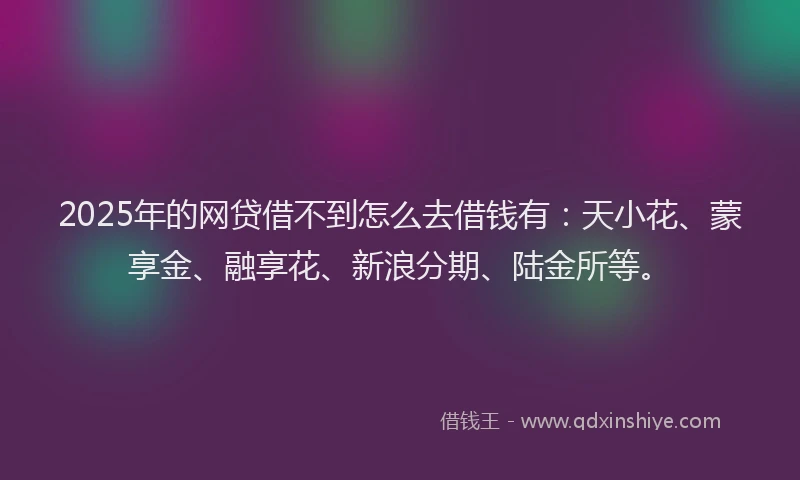 2025年的网贷借不到怎么去借钱有：天小花、蒙享金、融享花、新浪分期、陆金所等。