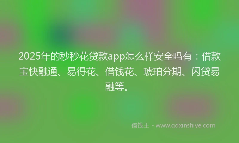 2025年的秒秒花贷款app怎么样安全吗有：借款宝快融通、易得花、借钱花、琥珀分期、闪贷易融等。